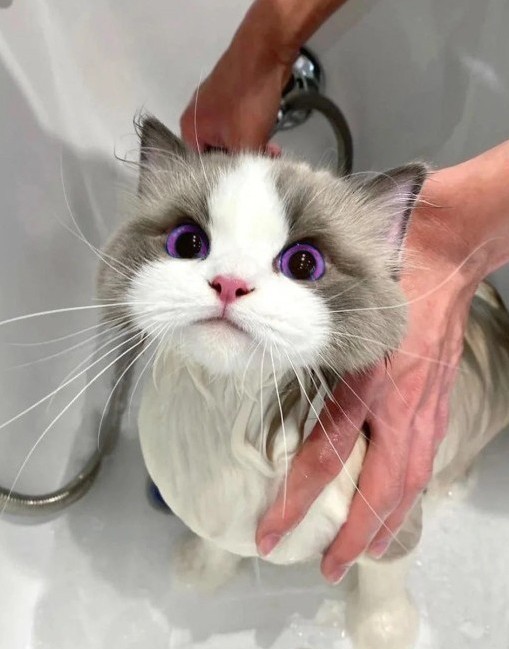 Необычный цвет глаз