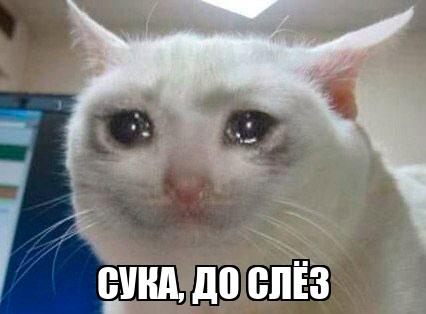 Нет, я вернусь на трассу! Капиталке быть