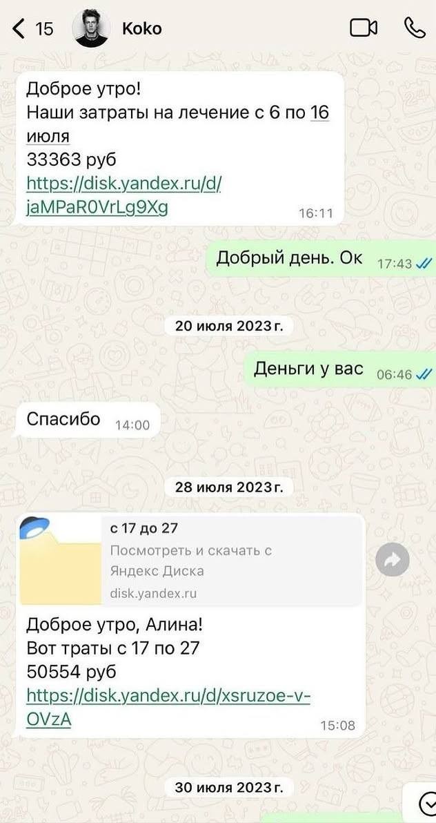 Актрису Алёну Митрошину сбил сын известного кинопродюсера Данилы Шарапова.