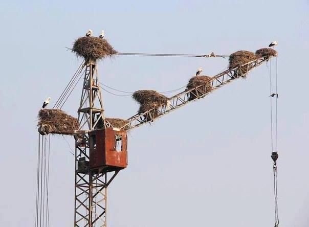 Картинки субботнего утра