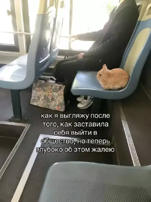 Картиночки, баянчики 04 марта