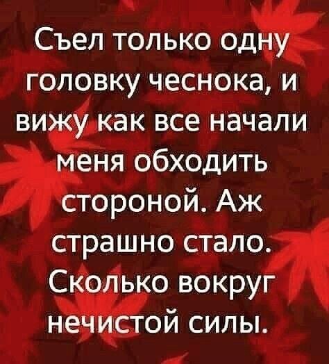 Срединедельный подвоз баянов