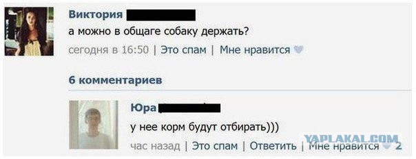 Смешные комментарии из социальных сетей