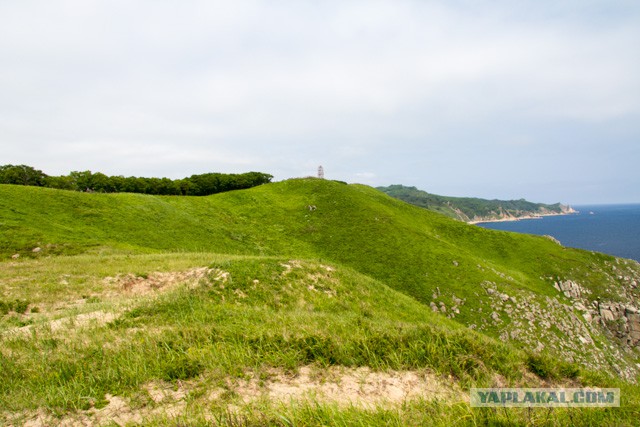 Природа Приморского края