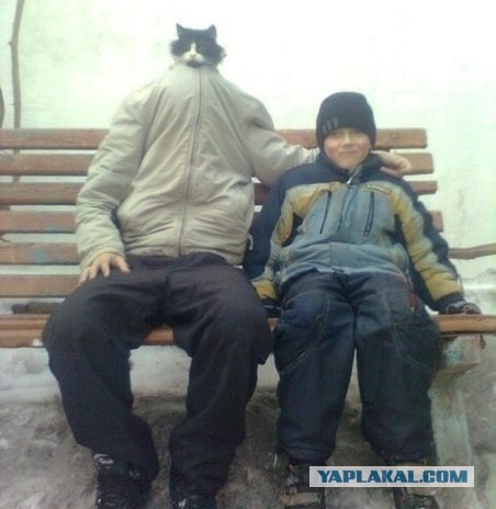 Мимиметр