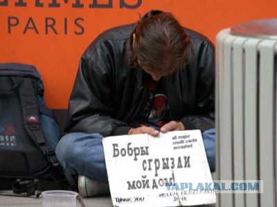 "Попрошайка" которому действительно стоит помочь.