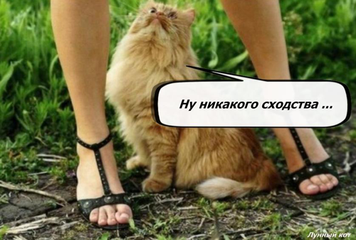 Судя по лицу, она не хочет показывать свою киску