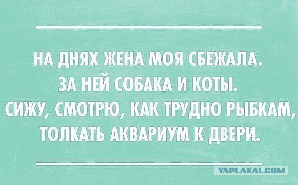 Подозрения подтвердились - у жены завелся любовник