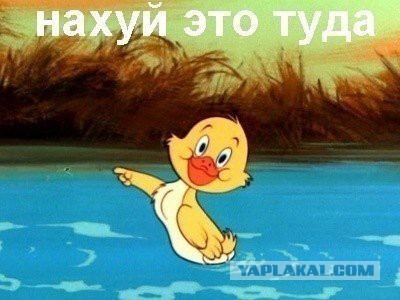 Да начнется обсуждение
