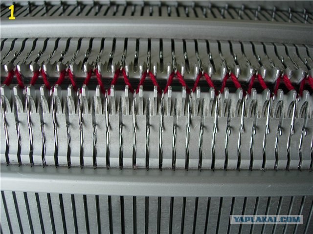 Еще одна разница между М и Ж