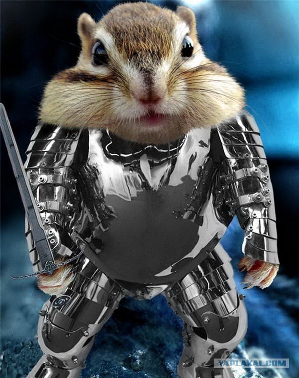 Тяжёлые последствия