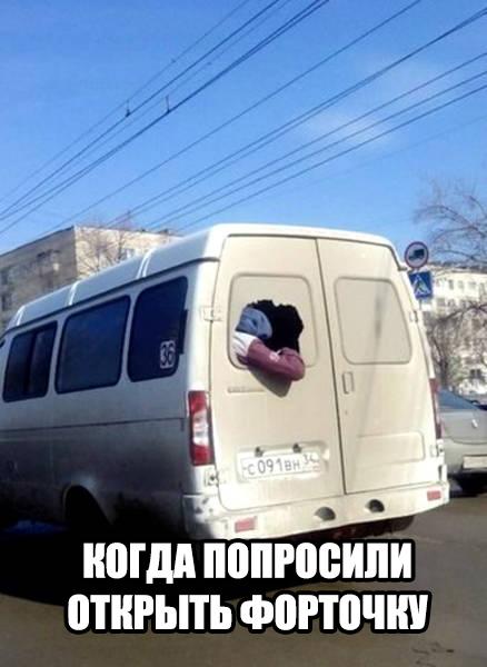 Пучок смешных картинок
