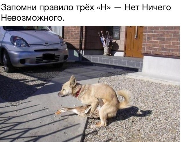 Странный юмор на пятницу.