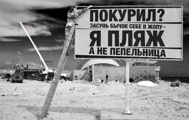 Ассорти картинок из сети