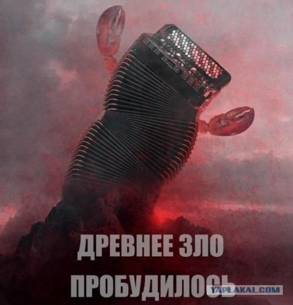 Смотрите, что сделал ДиКаприо, когда иммигрантка разбила его машину!