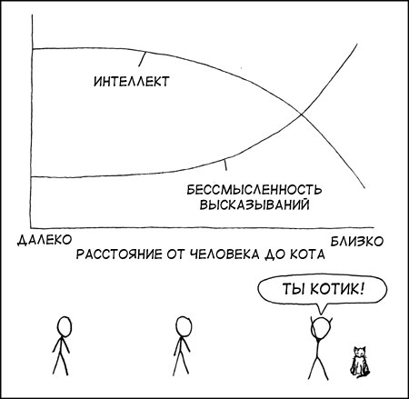 16 нелепых и смешных вещей, которые делают все кошачьи владельцы