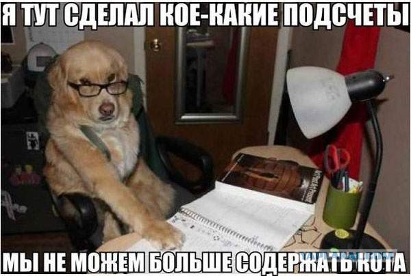 Кто в доме хозяин?