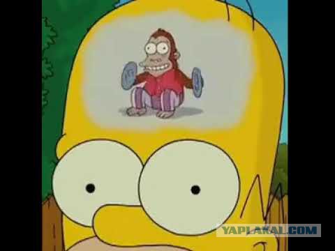 Синтольщик из Пятигорска Кирилл Терешин