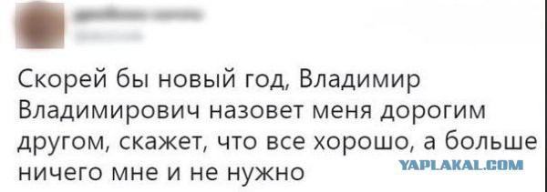 Вот и проходит год (опрос)