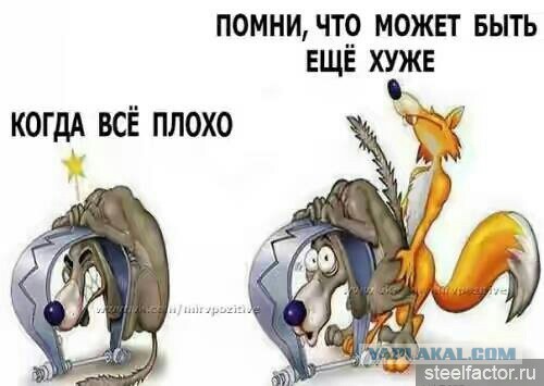 Застрял в решетке обезьянника