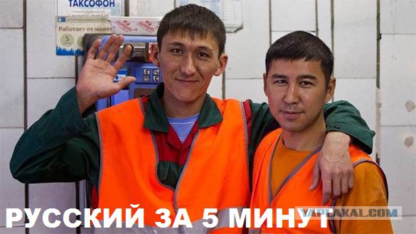 20 несуществующих глаголов.