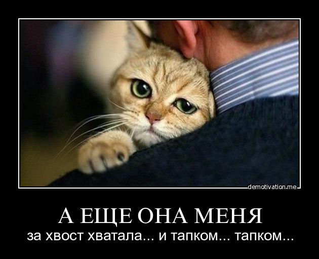 Итоги проверки пользователей