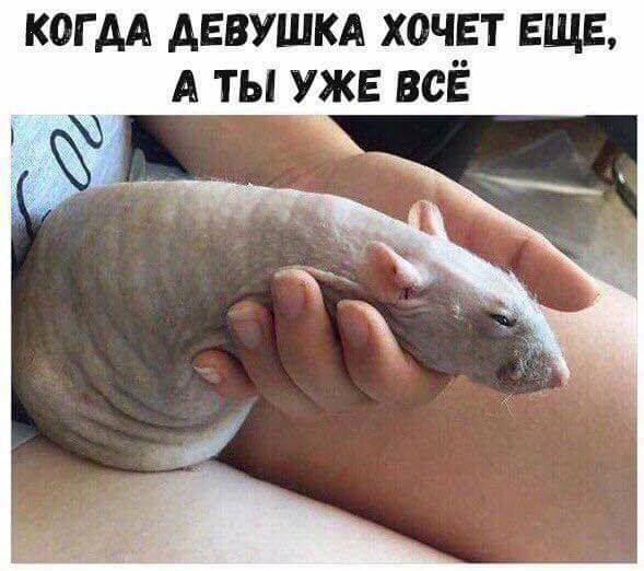 Порция стандартного деграюмора