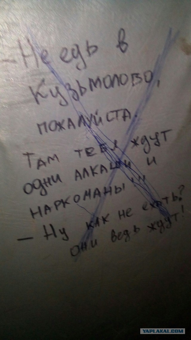 Скотсети и прочие интернеты 13.06.18