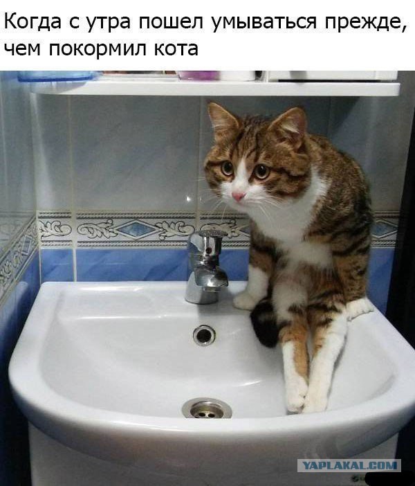 Подборка интересных и веселых картинок