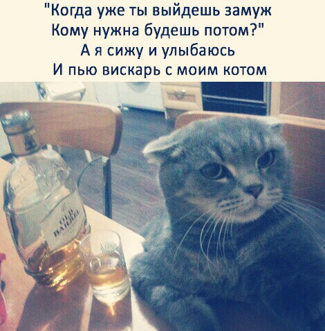 Алкопост на вечер этой пятницы