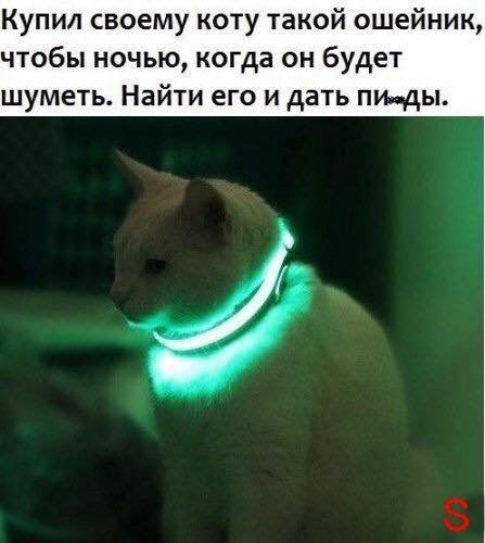 Немного картинок на вечер