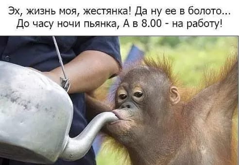 Алкопост на вечер этой пятницы