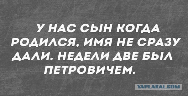 Блюдо дня