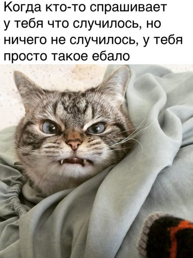 Картинки с текстом