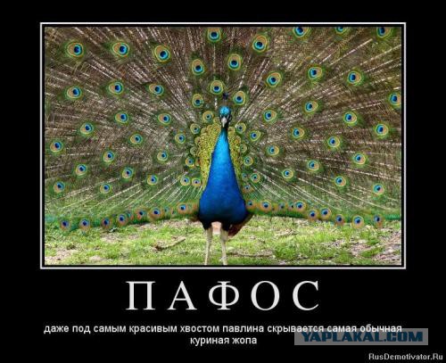 Измена жены и ее последствия для мужа