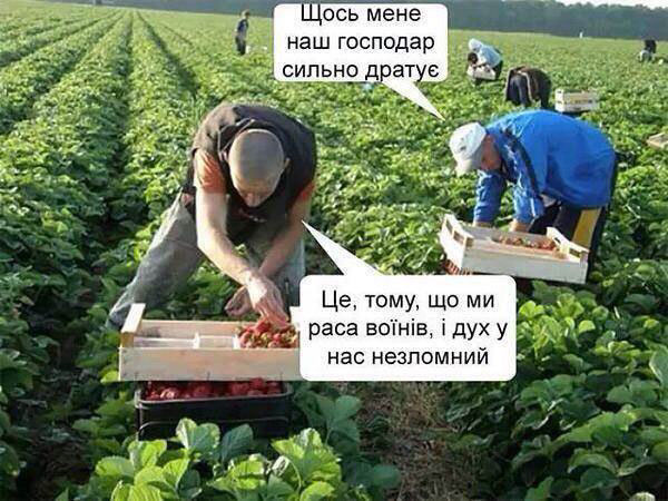 Что вызывает у вас чувство гордости за Россию?