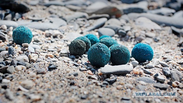 Синие шарики на пляже финского залива
