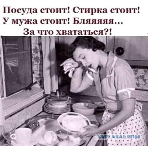 Прелести жизни разведенки