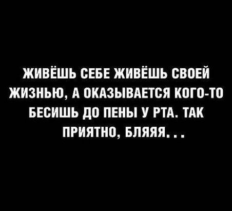 Скотсети и прочие интернеты 06.12.19