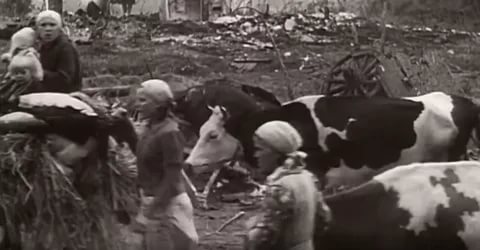 Операция "Висла". Окончательное решение украинского вопроса в Польше.1947 год