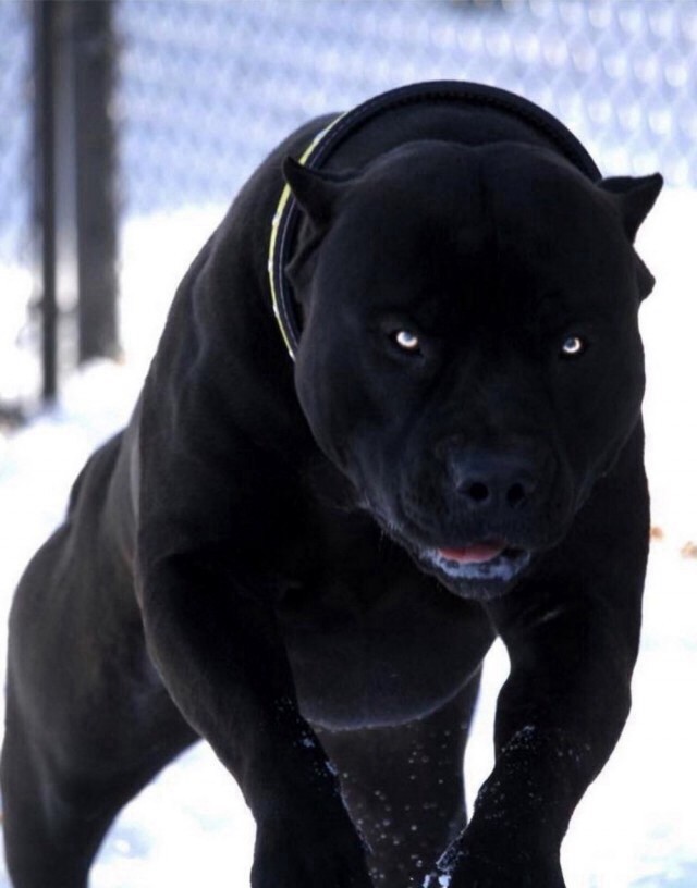 Фото с сайта знакомств 2