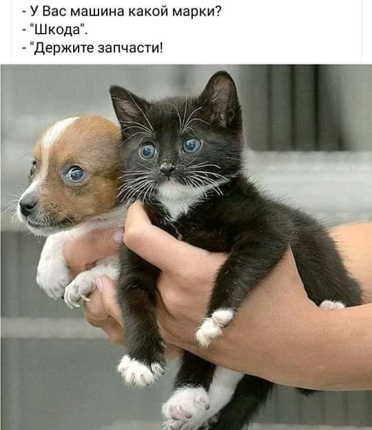 Бредзона 01.05.20