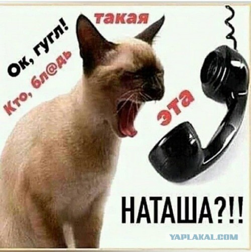 Наташа, проснись