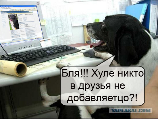Пес за работой