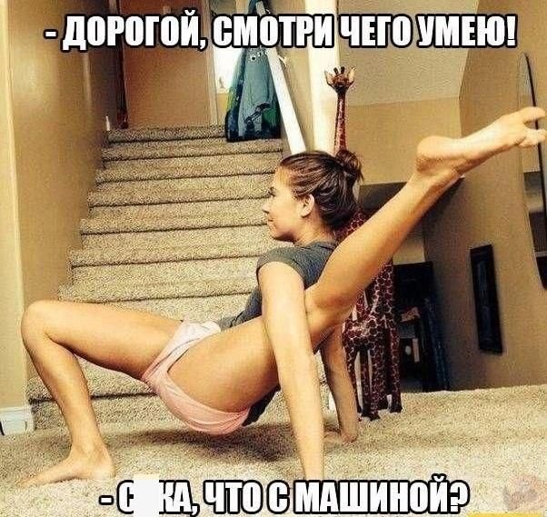 Веселые истории о нас №181