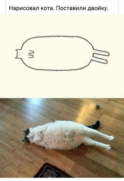 Грация кошки