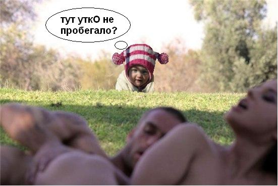 Фотожаба: Тут медвед не проходил?