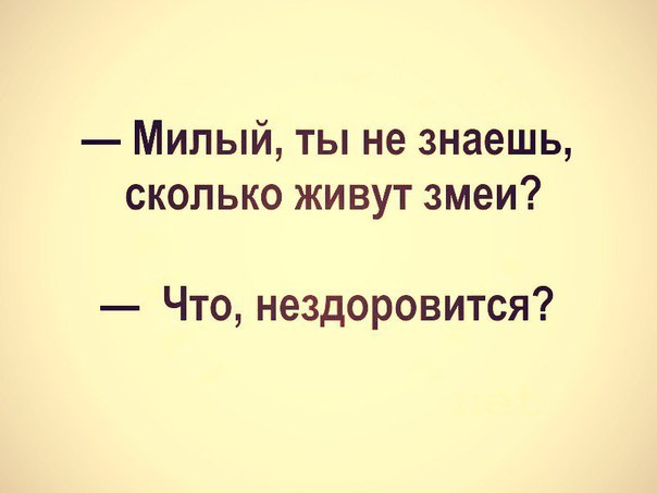 Кретинизмы из KO и KV 30.01.21