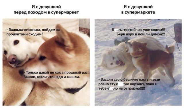 Кретинизмы из KV и KO 31.01.21