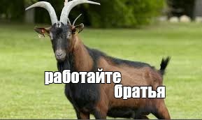 В Москве корреспондент попал под дубинку полиции